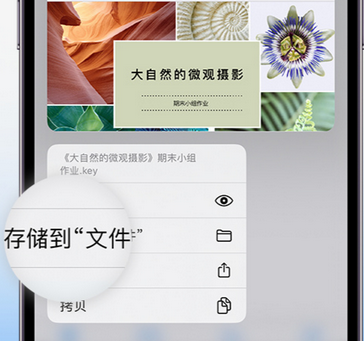 鹤岗apple维修中心分享iPhone文件应用中存储和找到下载文件