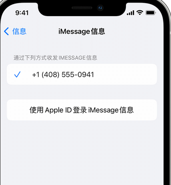 鹤岗apple维修iPhone上无法正常发送iMessage信息