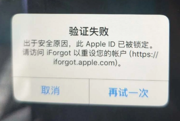 鹤岗iPhone维修分享iPhone上正常登录或使用AppleID怎么办 