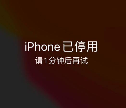 鹤岗苹果手机维修分享:iPhone 显示“不可用”或“已停用”怎么办？还能保留数据吗？ 