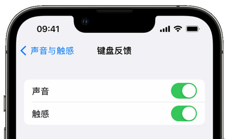 鹤岗苹果手机维修分享iPhone 14触感键盘使用方法 