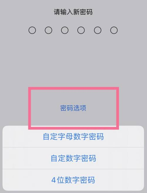 鹤岗苹果14维修分享iPhone 14plus设置密码的方法 