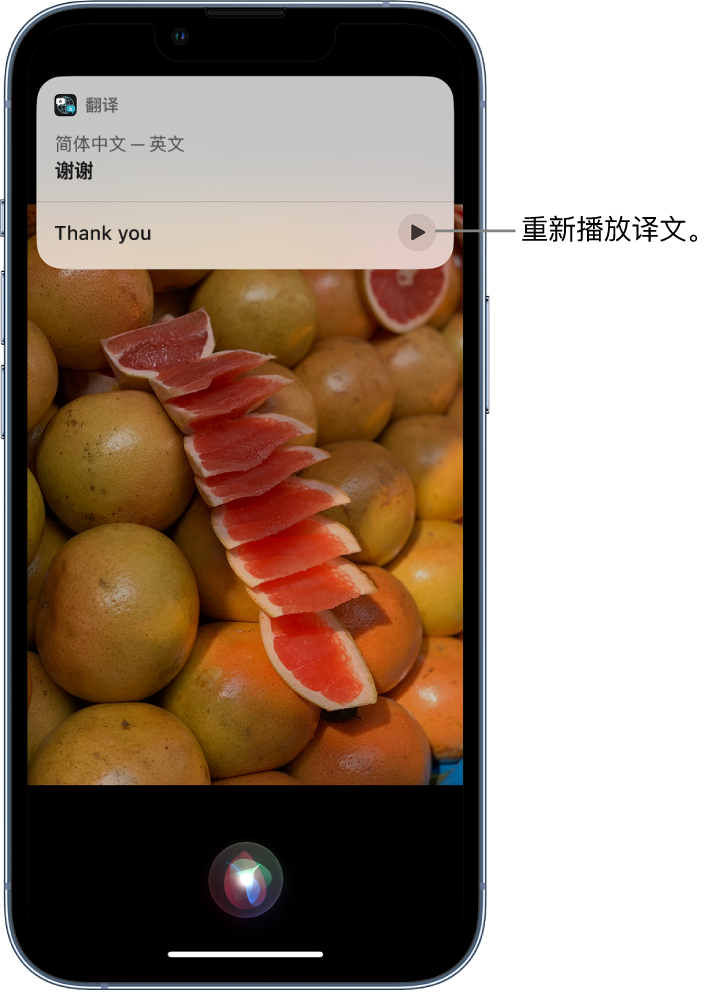 鹤岗苹果14维修分享 iPhone 14 机型中使用 Siri：了解 Siri 能帮你做什么 