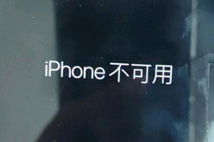 鹤岗苹果服务网点分享锁屏界面显示“iPhone 不可用”如何解决 