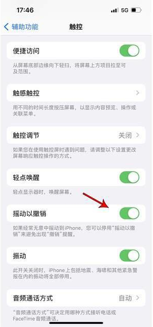 鹤岗苹果手机维修分享iPhone手机如何设置摇一摇删除文字 