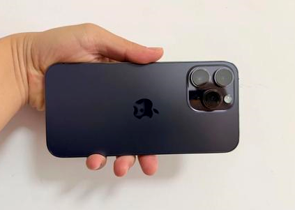 鹤岗苹果维修点分享iPhone 14 Pro Max黑屏少见故障盘点 